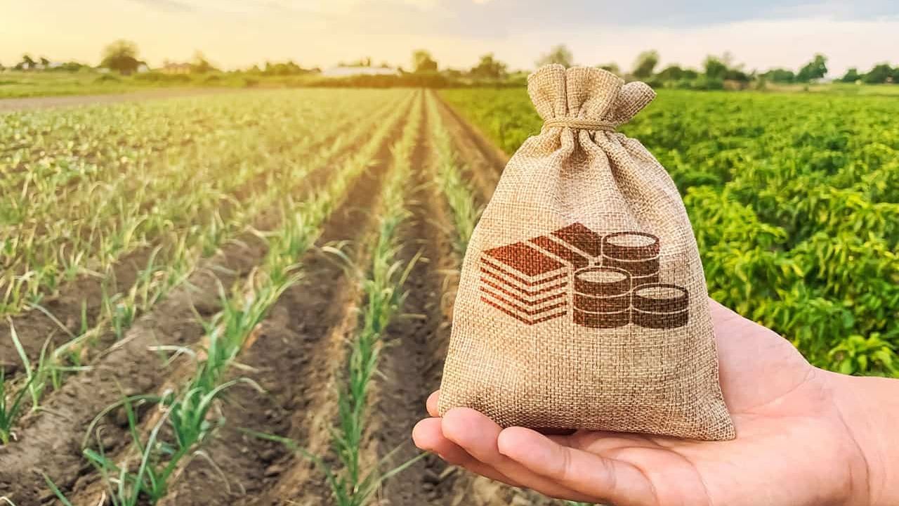 Ziraat Bankası Çiftçi Yem Kredisi 2022 Faizleri