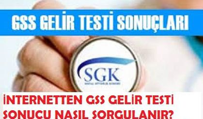 İnternetten Gelir Testi Sonucu Sorgulama Nasıl Yapılır?