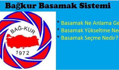 Bağkur Basamak Seçme ve Yükseltme Sorgulaması