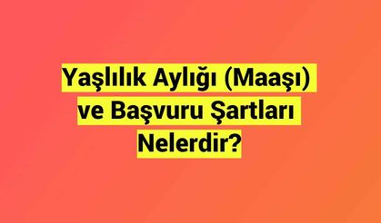 65 Yaşlılık Maaşı Nasıl Alınır, E-Devlet Başvurusu 2023