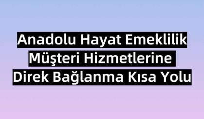 Anadolu Hayat Emeklilik Müşteri Hizmetlerine Direkt Bağlanma